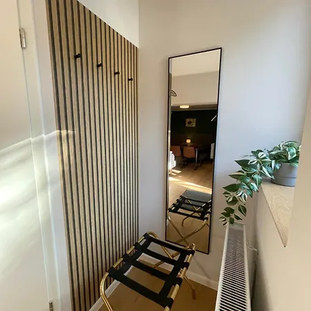 公寓 Urban Bliss Newly Renovated 纽伦堡