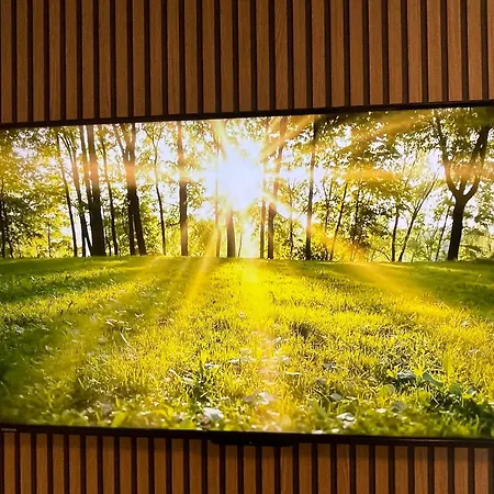 Urban Bliss Newly Renovated *